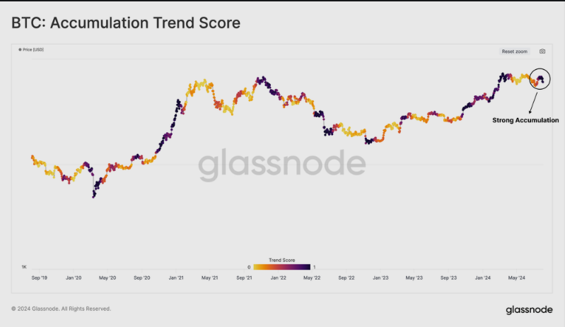 ¿Resurgimiento del HODLing? La transferencia de 374.000 Bitcoin enciende la recuperación de las criptomonedas