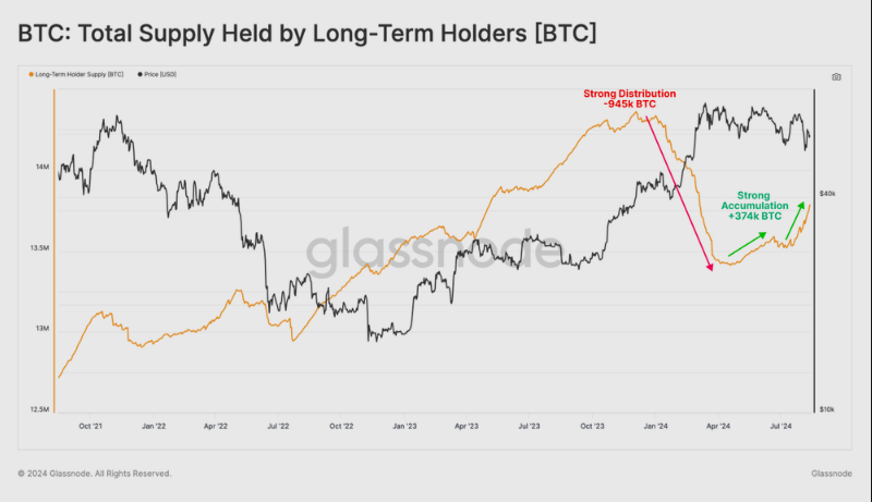 ¿Resurgimiento del HODLing? La transferencia de 374.000 Bitcoin enciende la recuperación de las criptomonedas