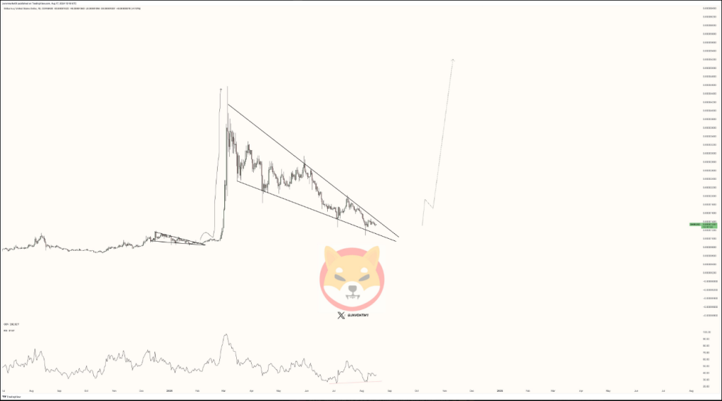 El potencial de Shiba Inu se dispara: ¿Podría SHIB aumentar un 500%?