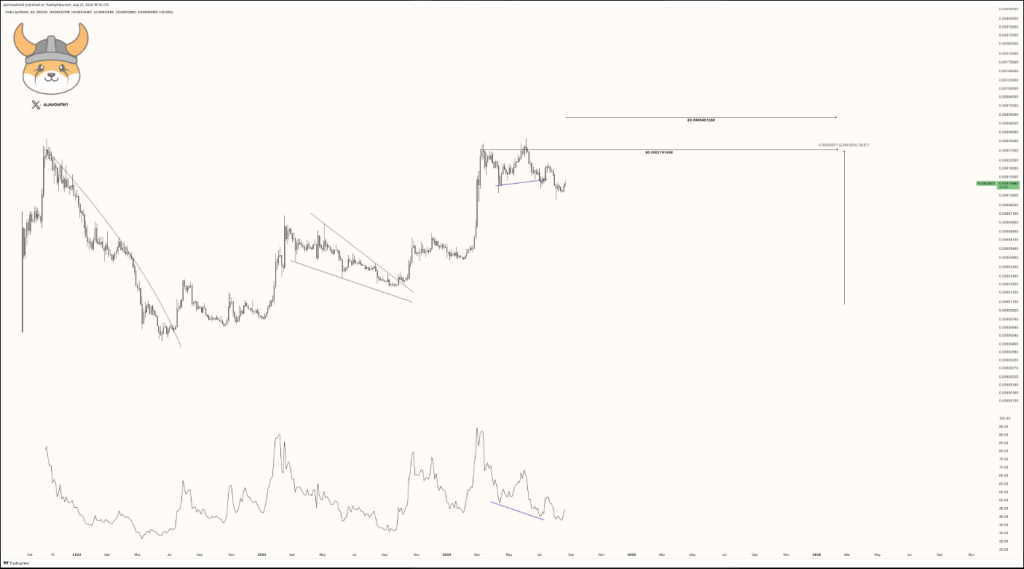 Floki hat „mehr Raum zum Klettern“ und strebt eine Rallye von 96 % an – Analyst