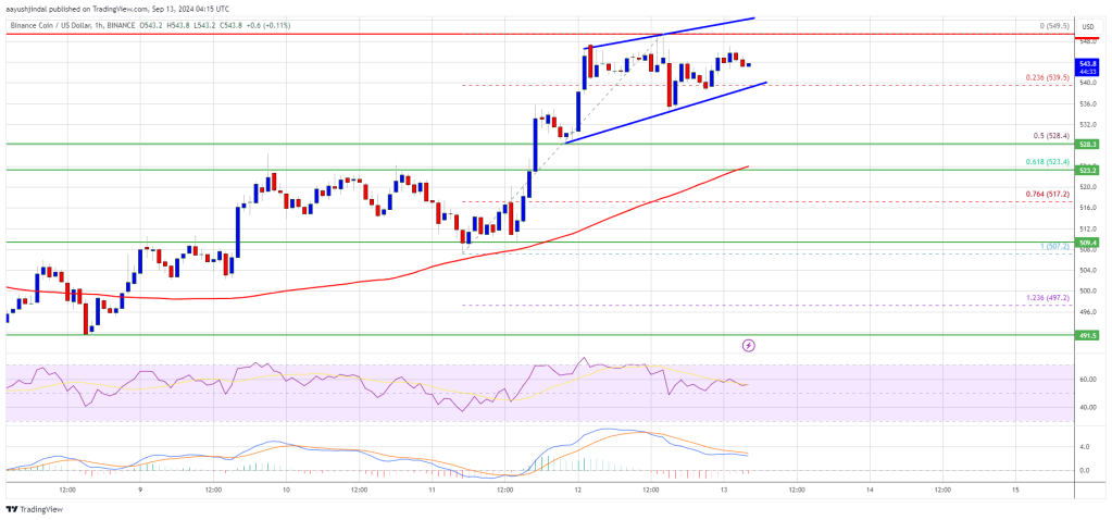 BNB-Preisanstieg strebt Ausbruch von 550 US-Dollar an: Kann er noch weiter steigen?