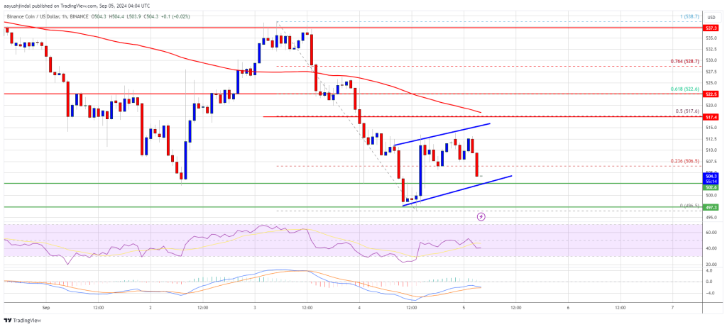 El precio de BNB lucha por mantener $ 500: ¿Se avecina una ruptura?