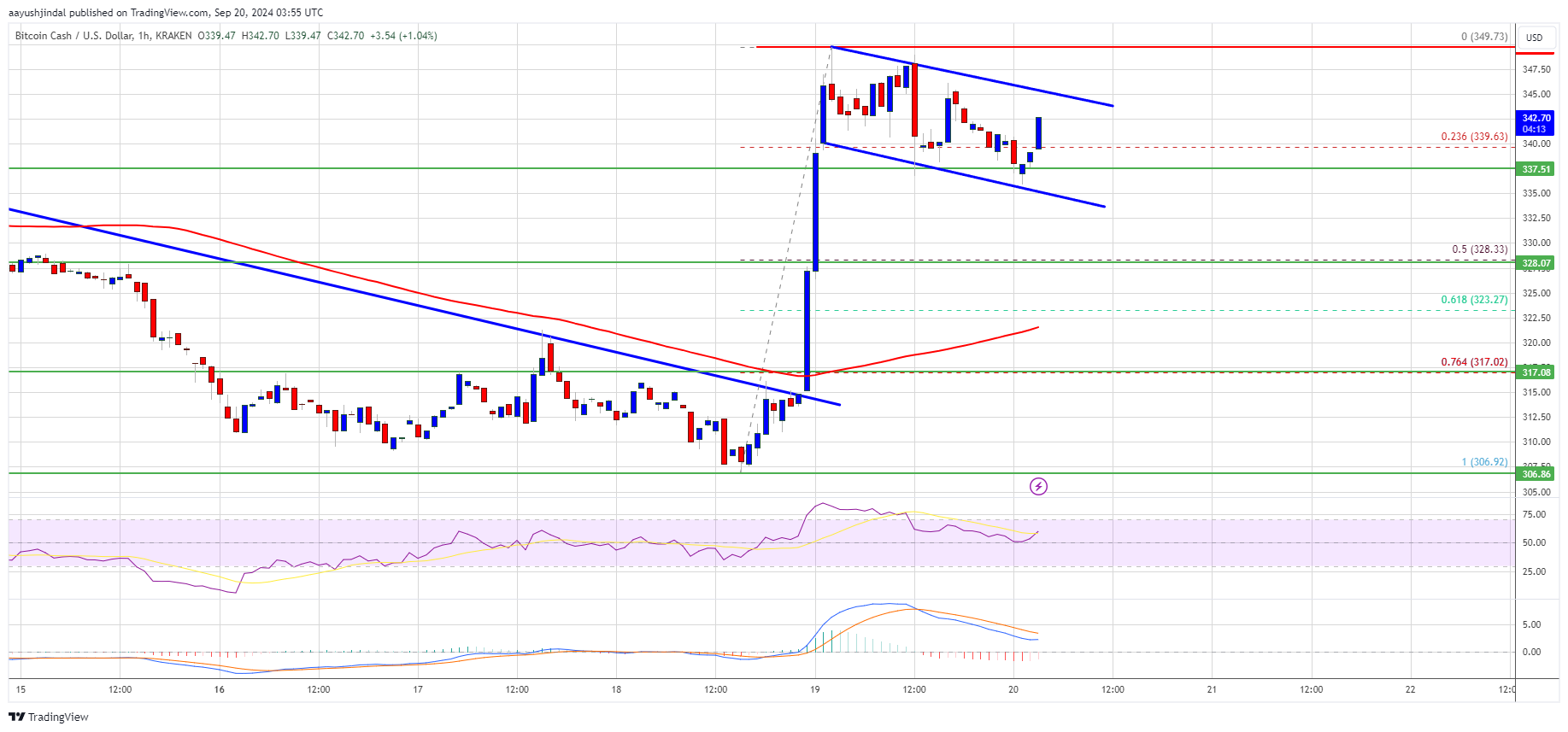 El precio de Bitcoin Cash sube un 15%: ¿Es esto sólo el comienzo de más ganancias?