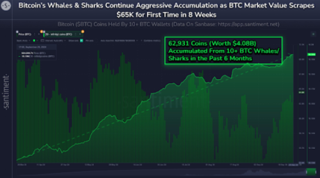 Bitcoin price 1