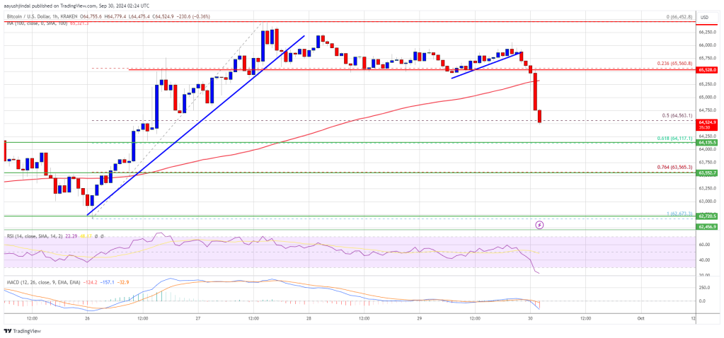 Bitcoin Price Corrects Recent Gains: Is a Deeper Dip Coming?