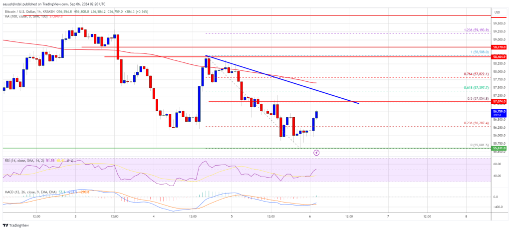 ビットコイン価格闘争：強気派は一週間を救うために介入できるか?