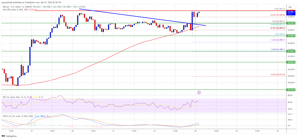 Bitcoin Price Regains Strength: Is a New Rally Brewing?