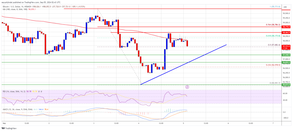 Rebote del precio de Bitcoin en riesgo: ¿Está la recuperación a punto de desvanecerse?