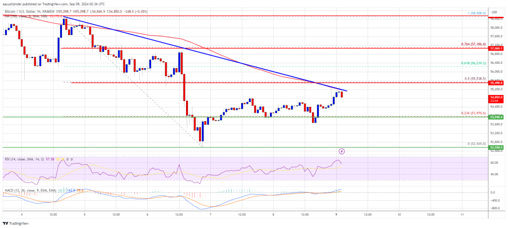 El precio de Bitcoin se recupera, pero ¿podría regresar la tendencia bajista?