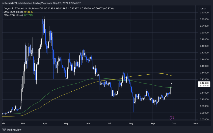 Trading Dogecoin above 1D 200 EMA. 