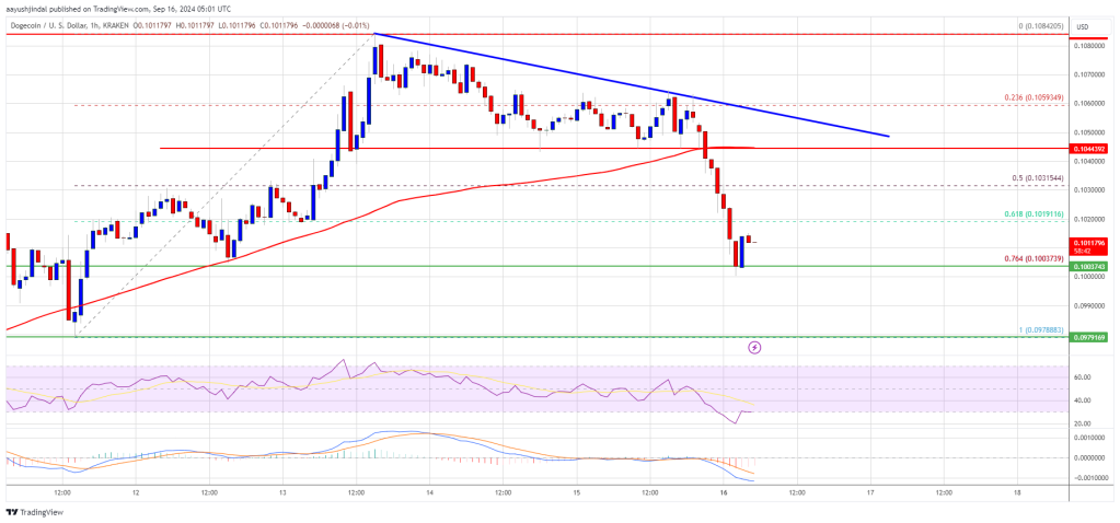 Dogecoin (DOGE) Trims Gains, Can This Key Support Hold Losses?