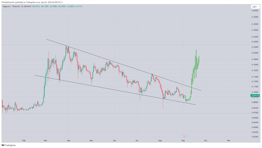 O principal indicador Dogecoin pisca em alta, é hora de comprar?