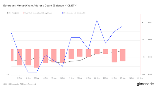 Ethereum Whales Spend $185 Million To Accumulate 70,000 ETH, Time To Buy?