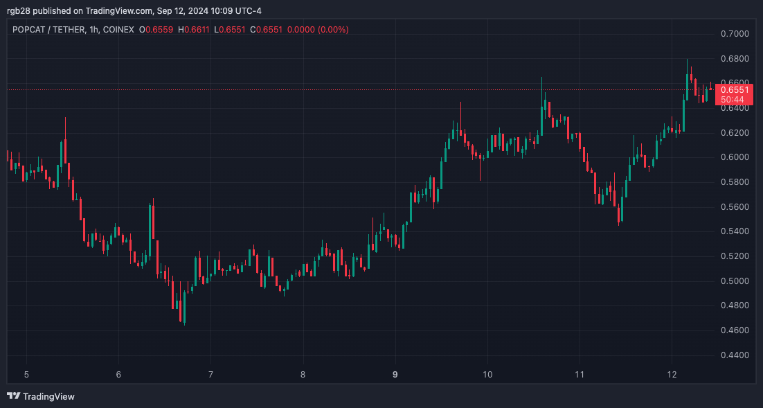 POPCAT salta 20% enquanto as baleias carregam suas malas. Será que há uma ‘temporada dos gatos’ pela frente?