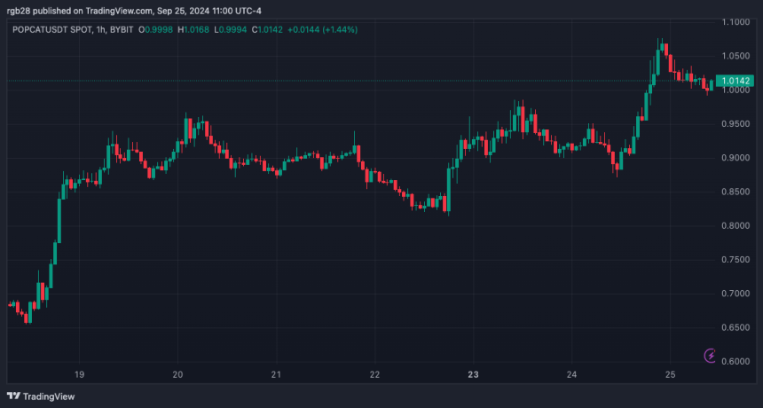 Memecoin Sensation Popcat Hits New All-Time High After Surge To $1