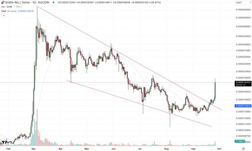 Ist Shiba Inu bereit für ein neues Allzeithoch über 0,00008 $? Analyst sagt Ja