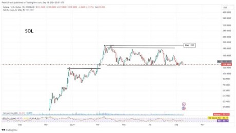 Analyst Predicts A Solana Price Crash To $80 If This Happens