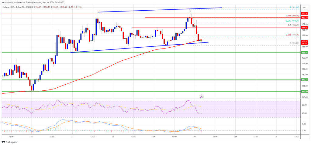 Solana Price (SOL) Holds Crucial Support Level: Is the Rally Still Alive?