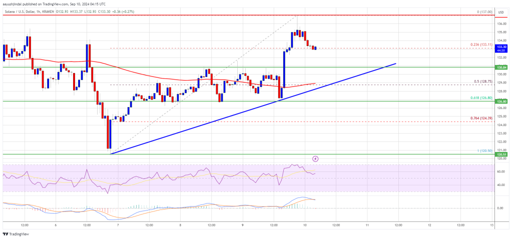 Solana Price (SOL) Shows Strength: Is a Return to $150 Possible?