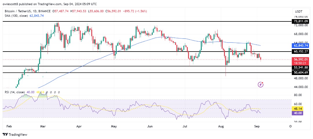 Movimiento bajista de Bitcoin: los indicadores sugieren que la próxima parada podría ser $53,541