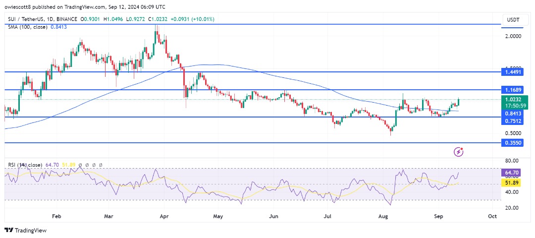 SUI Bulls se preparam, eles conseguirão ultrapassar o teto de US$ 1,16?