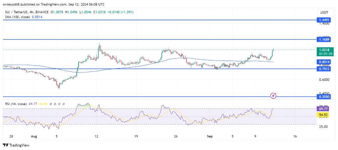 SUI Bulls se preparam, eles conseguirão ultrapassar o teto de US$ 1,16?