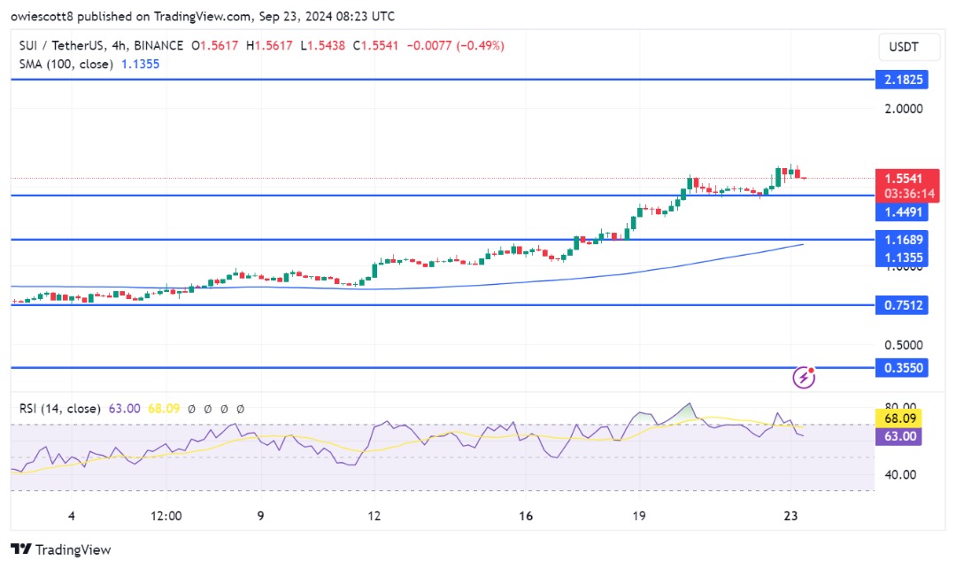 SUI видит потенциальный откат, поскольку индикатор RSI мигает предупреждением: скоро ожидается повторный тест $ 1,4