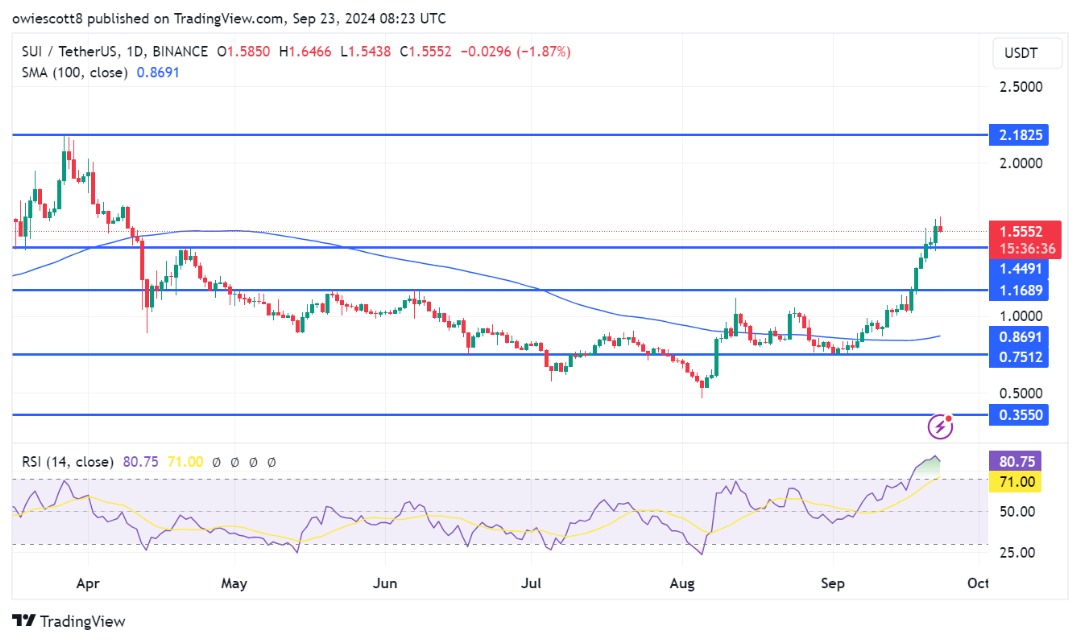 SUI видит потенциальный откат, поскольку индикатор RSI мигает предупреждением: скоро ожидается повторный тест $ 1,4