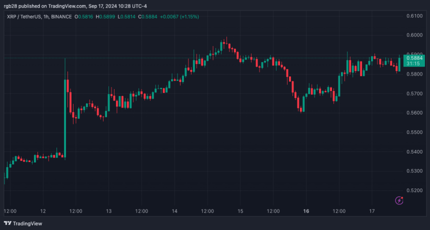 XRP To Have ‘The Mother’ Of All Bull Runs, Analysts Set Targets