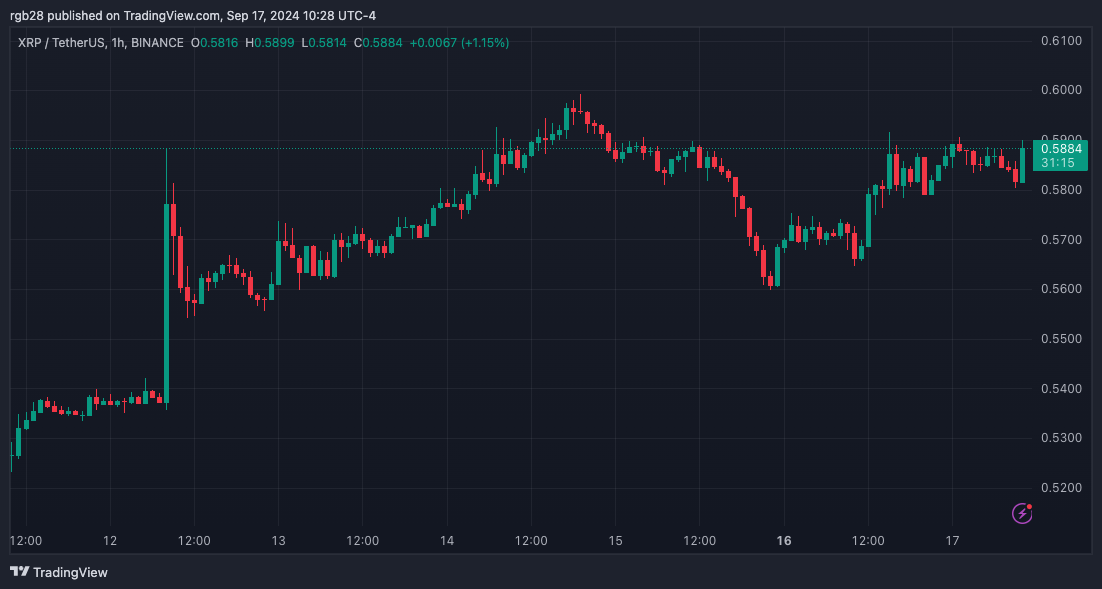 XRP terá ‘a mãe’ de todas as corridas de touros, analista define meta de dois dígitos