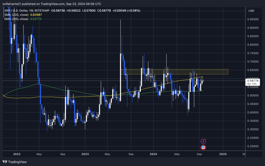 XRP trading below the 1W 200 MA. 