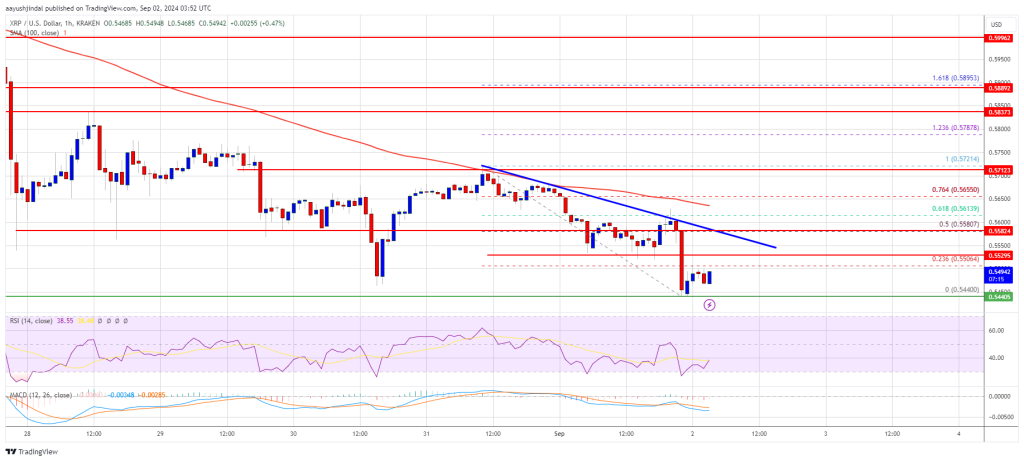 XRPの価格闘争：下降トレンドから脱却できるか？