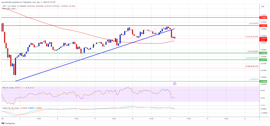 XRP Price Slips But Will The 100-SMA Ignite A Comeback?