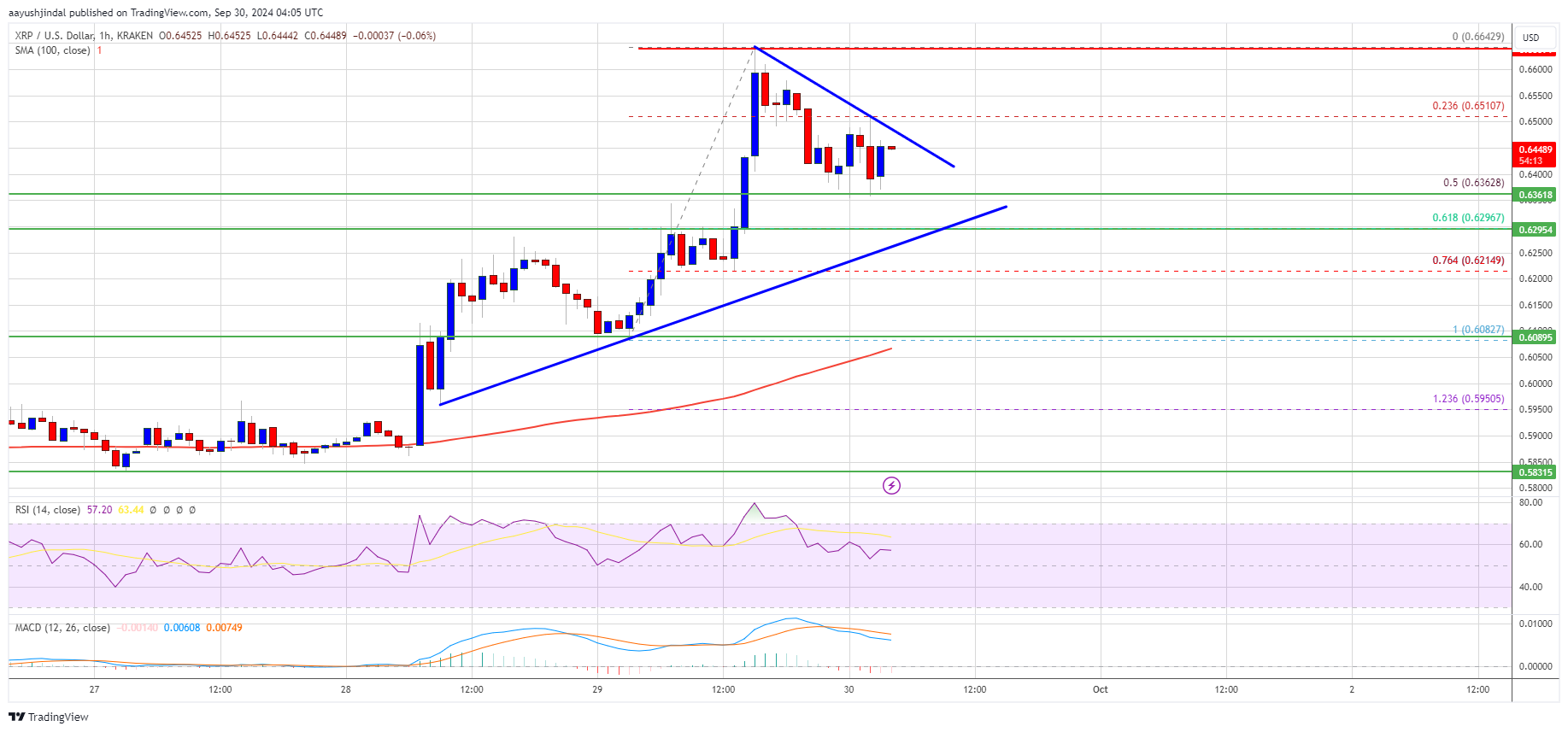 XRP価格の高騰：大規模な上昇が進行中?