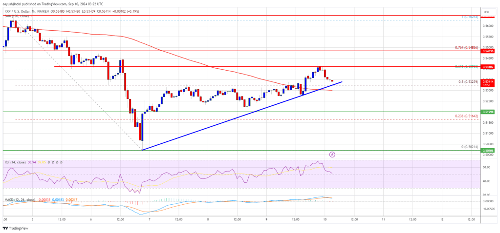 Der XRP-Preis strebt einen Ausbruch von 0,550 USD für eine mögliche Rallye an