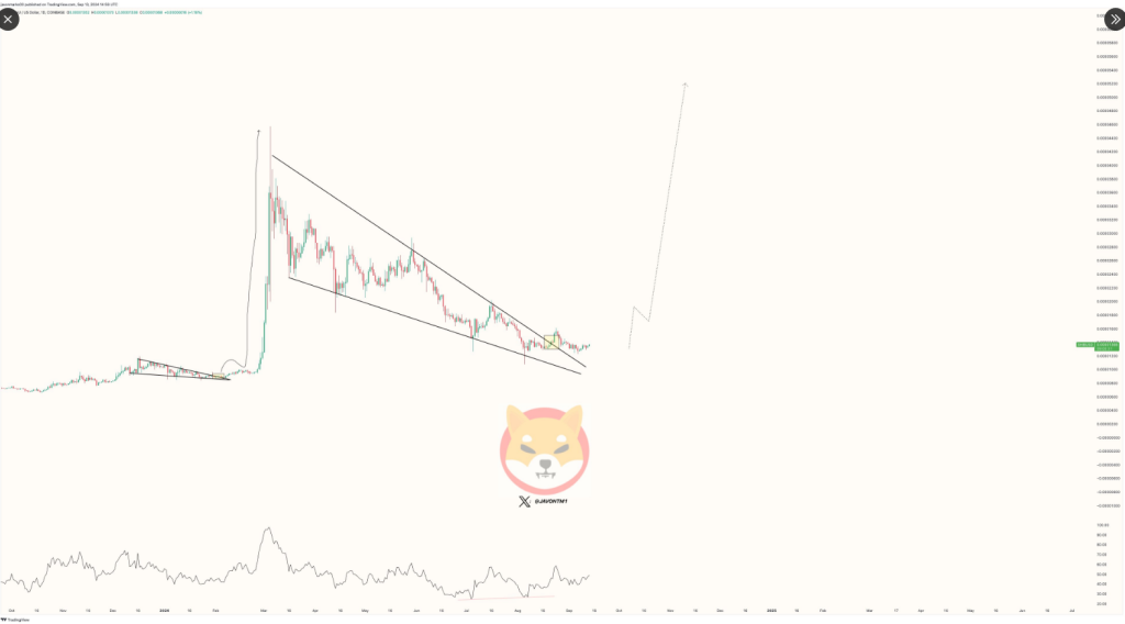 Shiba Inu Eyes Explosive 430% Climb As Momentum Builds