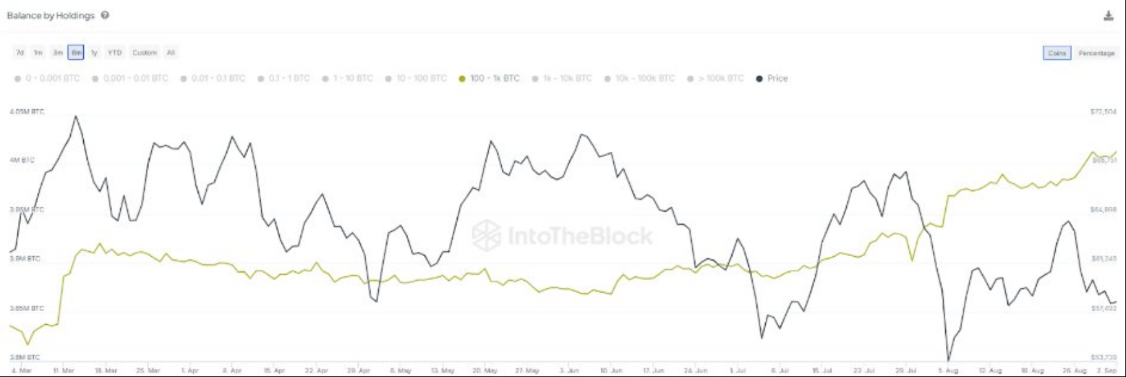 Principais endereços de Bitcoin apresentam aumento de retenção de 5% – o que está impulsionando a acumulação?