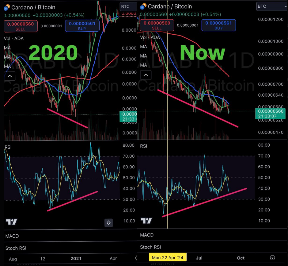 Cardano Bull ve que ADA salta un 1.000% en un rally "loco"