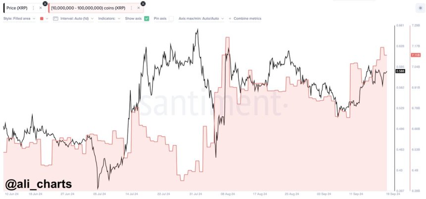 Paus Ripple membeli lebih dari 380 juta XRP dalam 10 hari terakhir. 