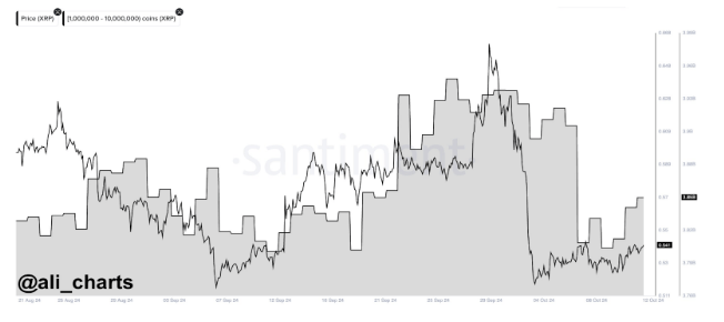Киты накопили 40 миллионов XRP за 48 часов – куда движется цена?