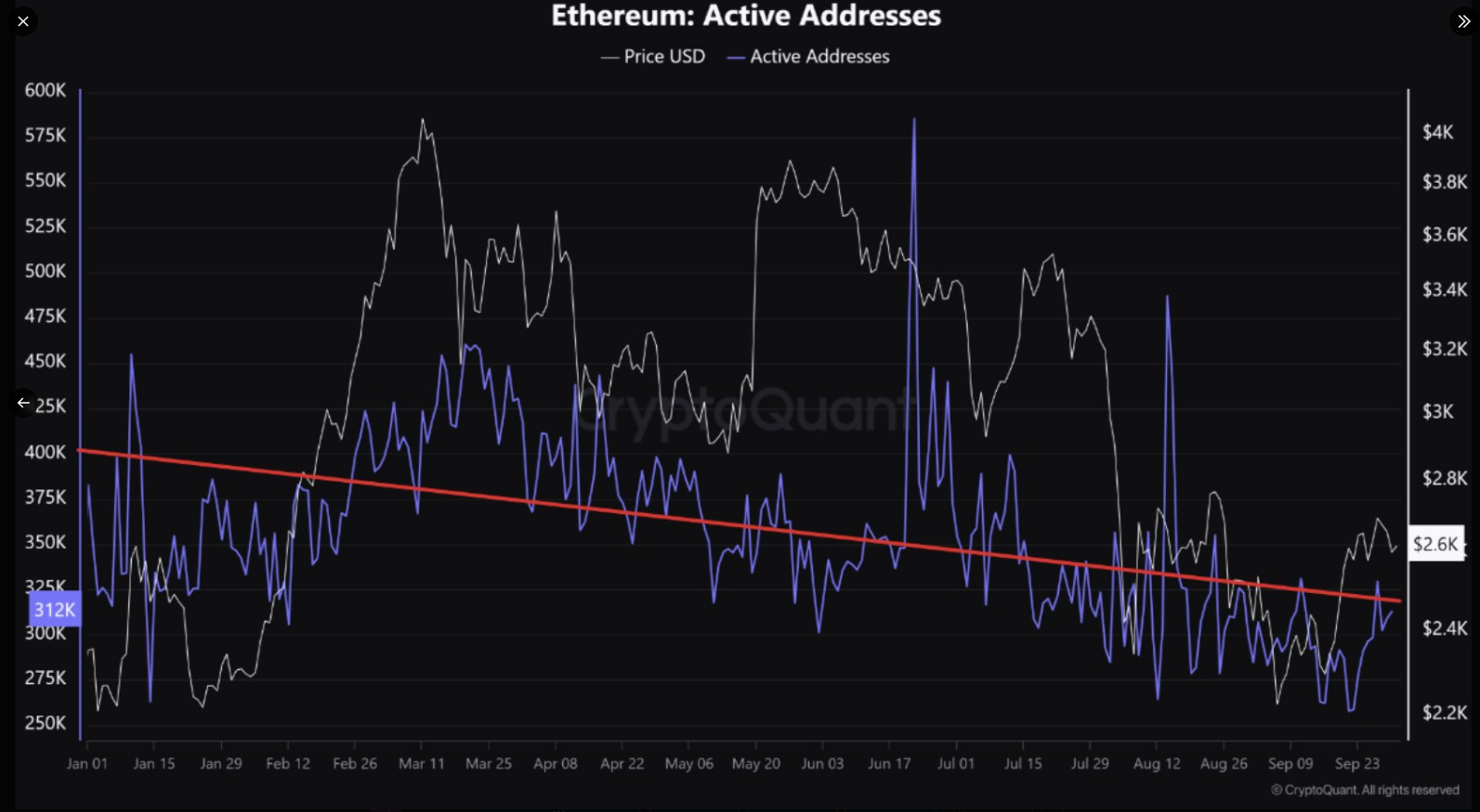 Крипто теряет Steam? Адреса Bitcoin и Ethereum сократятся в 2024 году