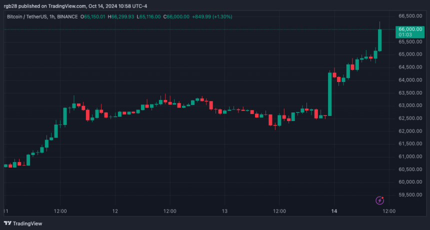 **Bitcoin in Ripresa: Analisi delle Nuove Opportunità nel Mercato delle Criptovalute**