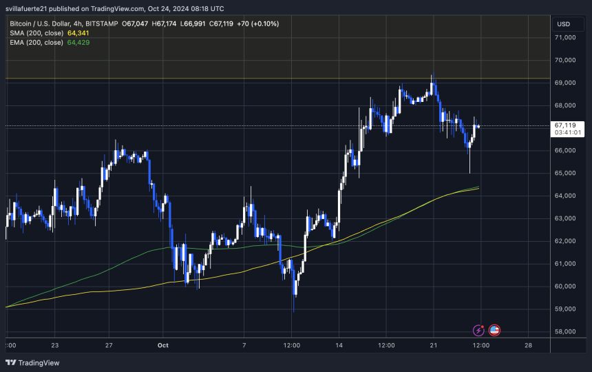 BTC strong rebound from the level of 65,000 dollars 