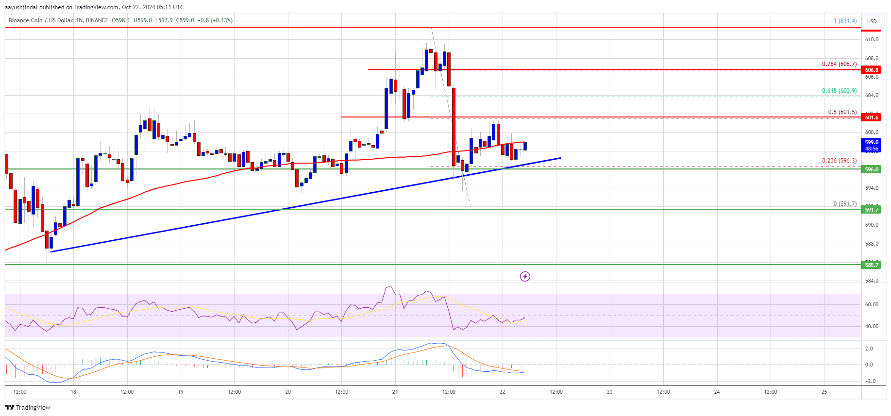 Preço do BNB preparado para novo aumento: o impulso aumentará?