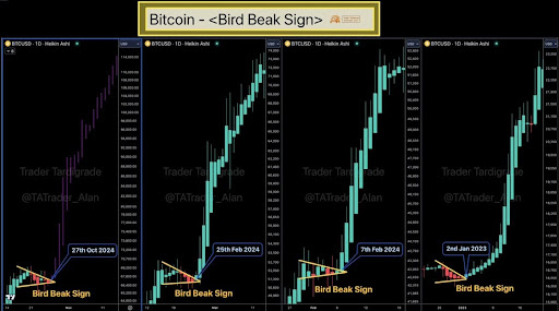 „Vogelschnabelzeichen“ erscheint auf dem Heikin-Ashi-Chart des Bitcoin-Preises, Analyst erklärt, was das bedeutet