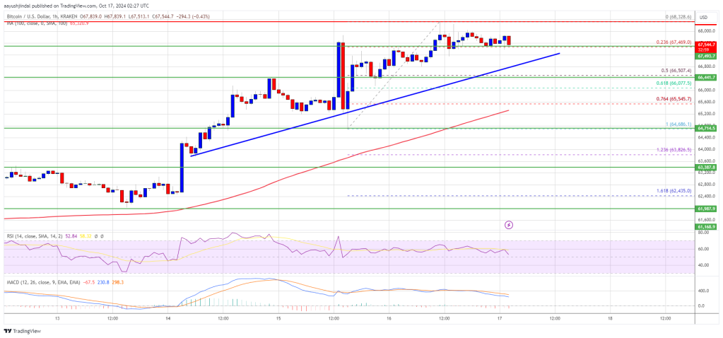 Bitcoin Price Holds Firm: Can It Power Toward New Gains?