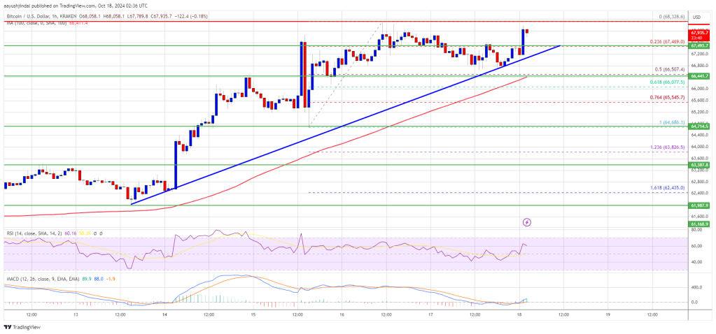 Bitcoin Price Positioned for More Upside: Can It Keep Climbing?