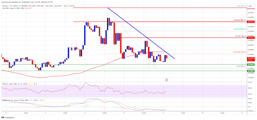 Bitcoin Price Pauses, Eyeing a Fresh Increase: Can Bulls Deliver?