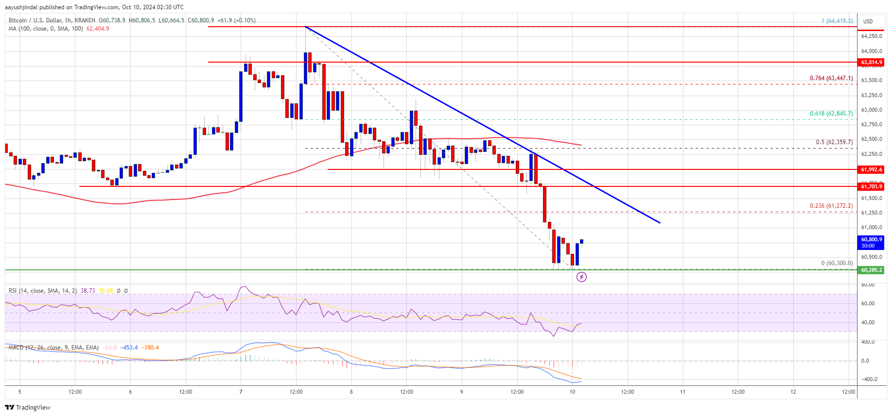 Bitcoin Price Extends Decline: Can $60K Serve as a Lifeline?