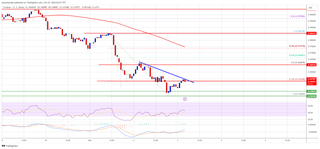 Cardano (ADA) Struggles: Can Bulls Prevent Further Losses?